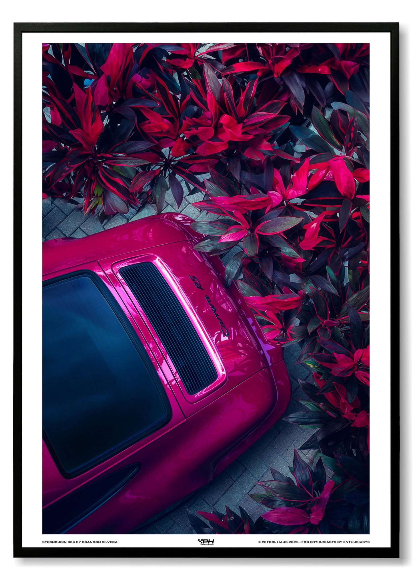 Sternrubin 964