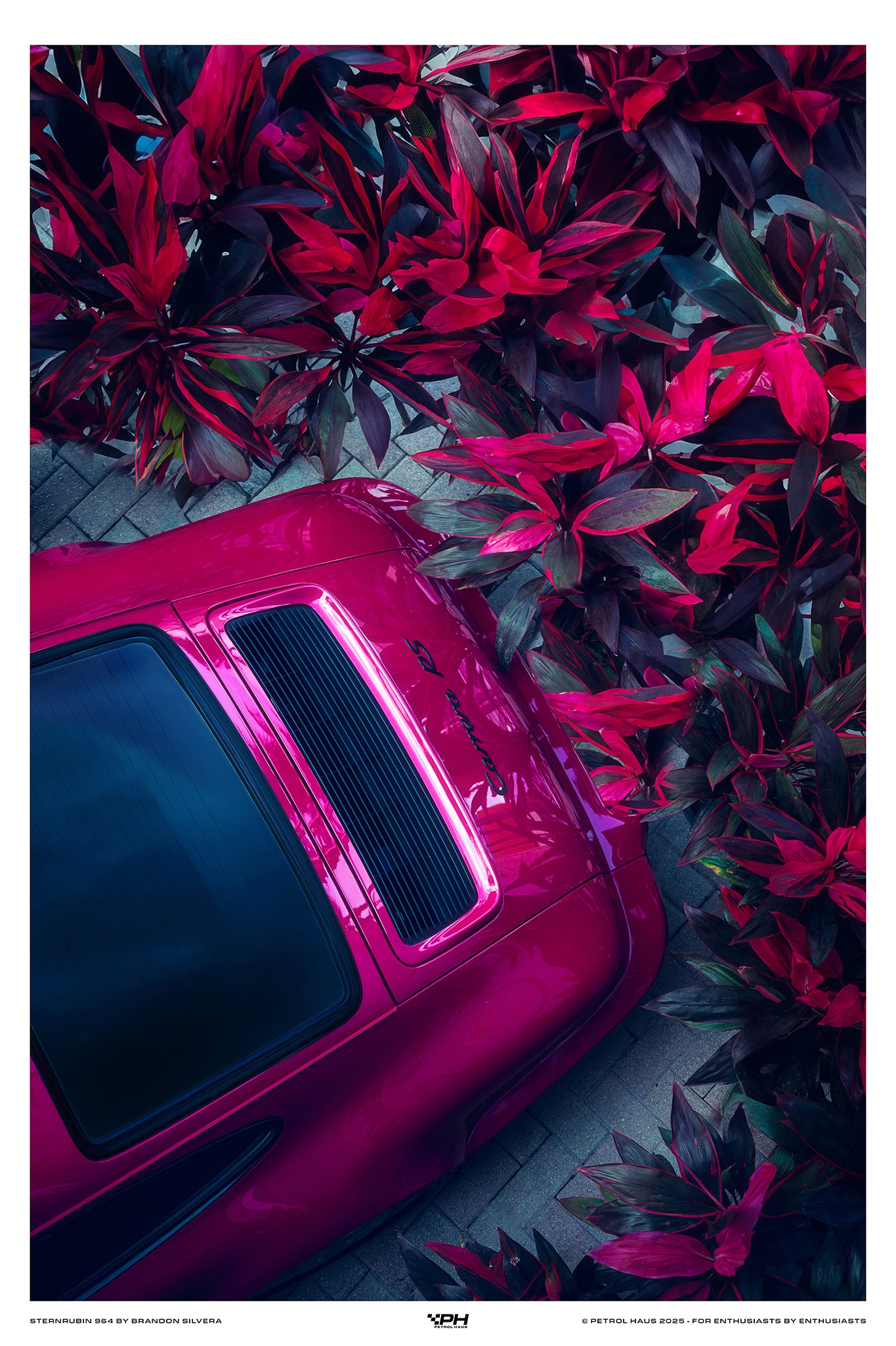 Sternrubin 964